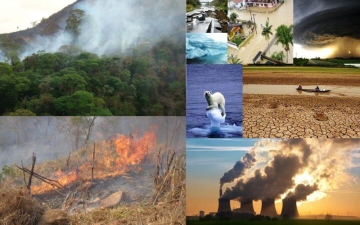 Efeitos das Mudanças climáticas e ecossistemas