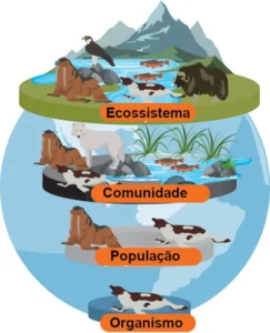 Ecologia
