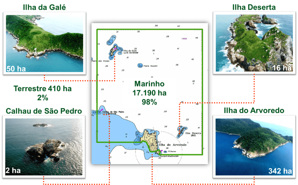 Reserva Marinha do Arvoredo Sc