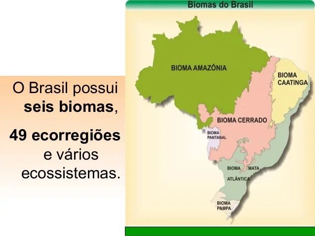 Biomas no Brasil