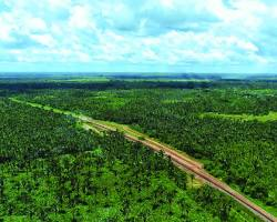 Bioma Amazônia - Floresta Ombrófila Aberta
