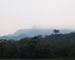 Bioma Amazônico - Floresta Ombrófila Densa