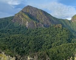 Amazônia - Campos de altitude