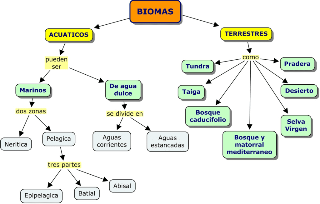Classificação de biomas