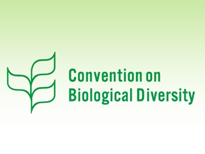 Convenção Biológica da Biodiversidade