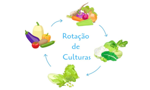 Rotação de Culturas: Guia Completo para sua Agricultura Ecológica