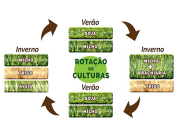 Rotação de Culturas: Guia Completo de como fazer na sua lavoura