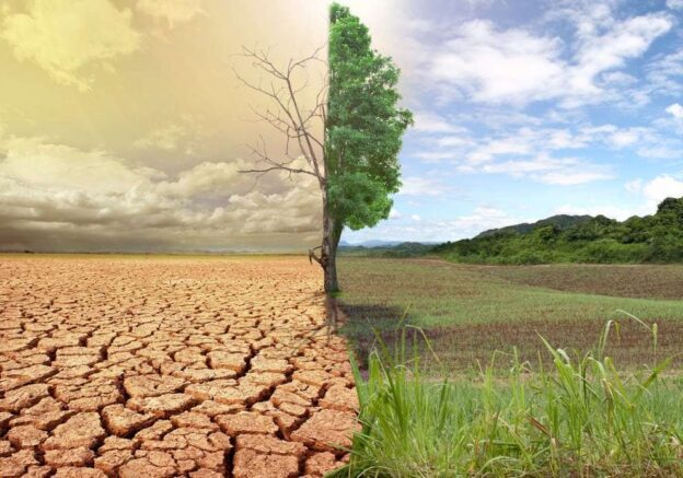 Desertificação do Solo: O que é, causas e como podemos evitá-la