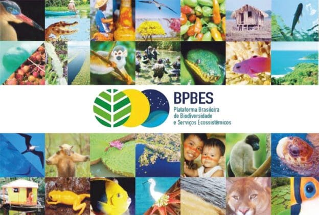 Plataforma Brasileira de Biodiversidade e Serviços Ecossistêmicos (BPBES)