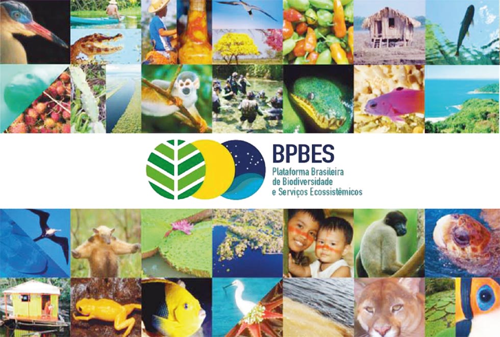 Plataforma Brasileira de Biodiversidade e Serviços Ecossistêmicos (BPBES
