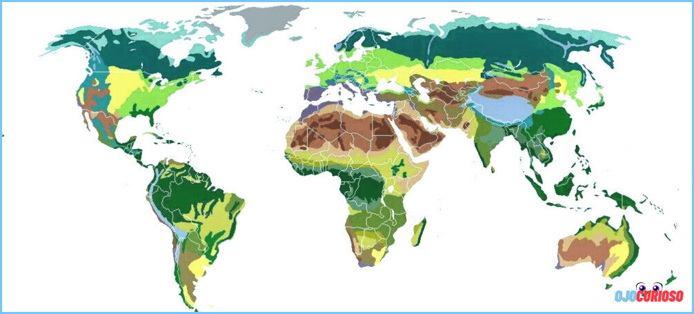 Biomas da Terra que formam a divisão horizontal da biosfera