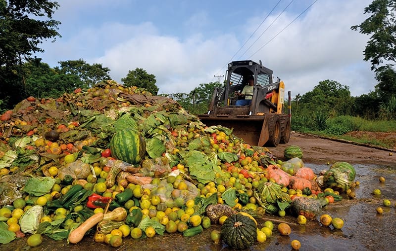 Princípios, impactos, benefícios e desafios ambientais na produção de alimentos