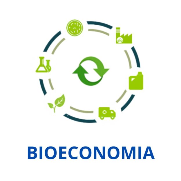 Bioeconomia – conceito, importância, princípios e exemplos
