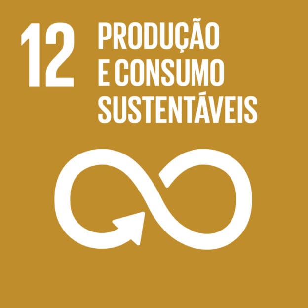 ODS 12 - Produção e consumo responsáveis