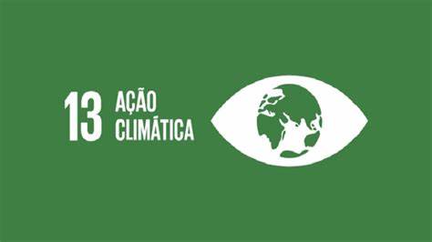ODS 13 - ação contra a mudança climática - metas e desafios no Brasil