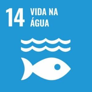 ODS 14 - vida marinha