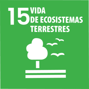 ODS 15 - Vida terrestre