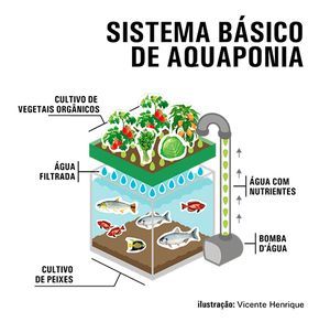 Aquaponia-sistema
