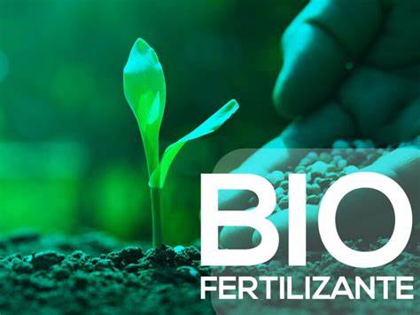 Biofertilizante na agricultura