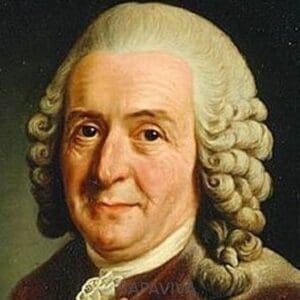 Carl Linnaeus