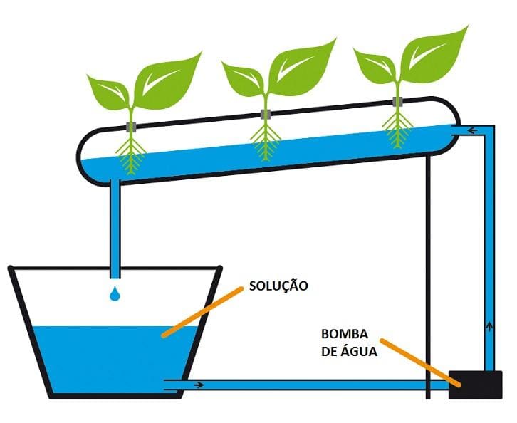 Hiroponia caseira