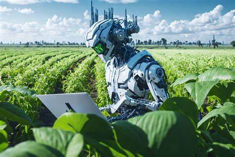 Máquina de aprendizado na agricultura (Machine Learning)
