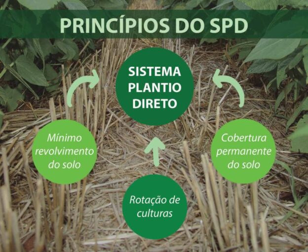 Plantio Direto – o que é, princípios, benefícios e como implantar