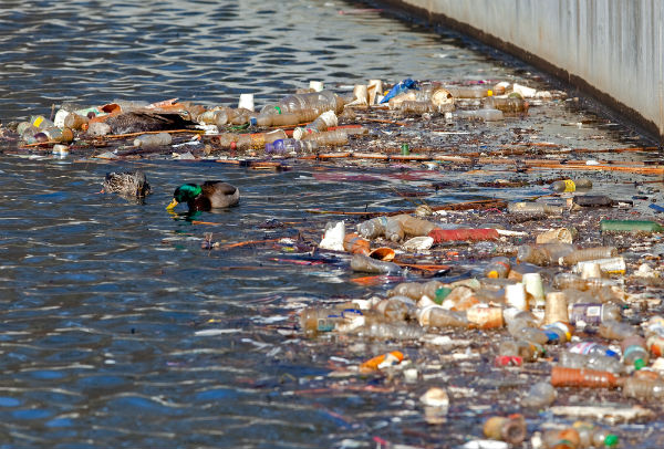 poluição da água no Brasil