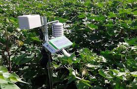 Sensores inteligentes na agricultura
