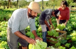 Agricultura sustentável -familiar