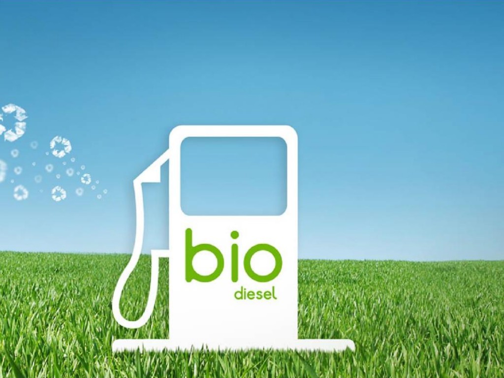 Biodiesel na bioeconomia - exemplos