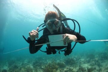 Biologia marinha - Uma pessoa submersa em um oceano com roupas próprias para mergulhador: óculos, máscara de oxigênio. A água é azul e dá pra ver o fundo do mar com vegetação.