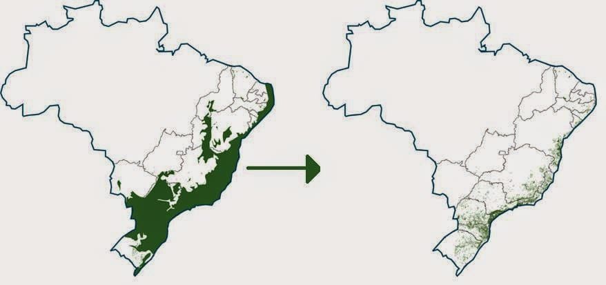 Mapa desmatamento da Mata Atlântica