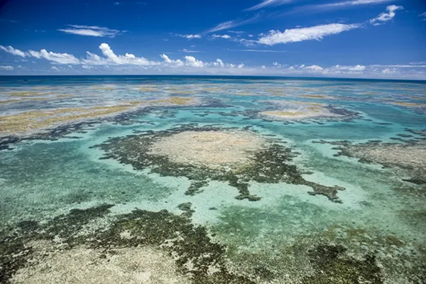 Reservas Marinhas: Abrolhos