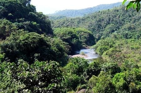 REBIO Terrestre Poço Das Antas (RJ)