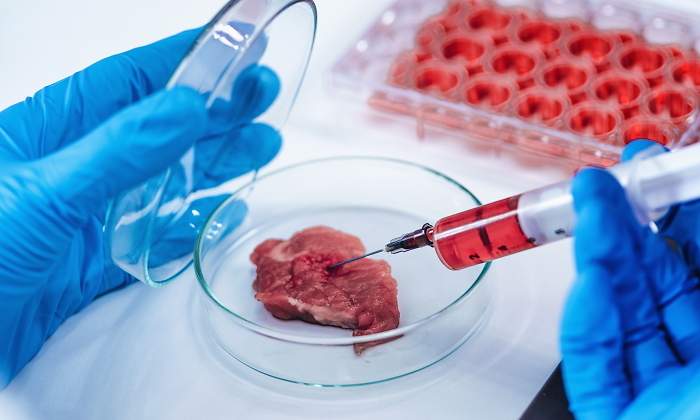 Carne de laboratório - carne in vitro