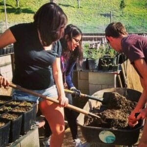 A compostagem comunitária é uma solução sustentável para a redução de resíduos orgânicos. Pratique e contribua para um mundo mais verde.