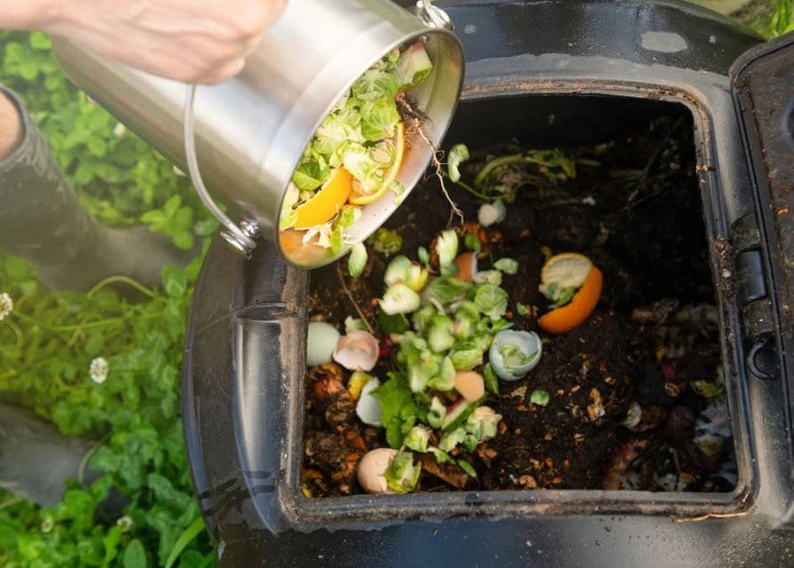 Compostagem doméstica