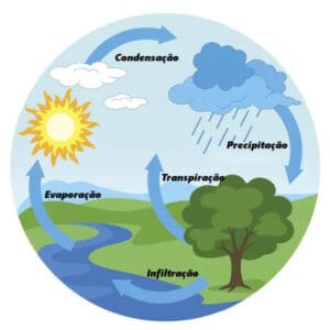 Equilíbrio dos ciclos naturais