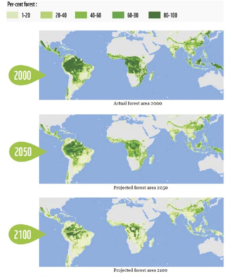 Mapa do Desmatamento Mundial