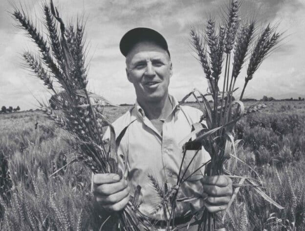 Norman Borlaug