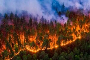 Qual a diferença entre queimadas e incêndios?