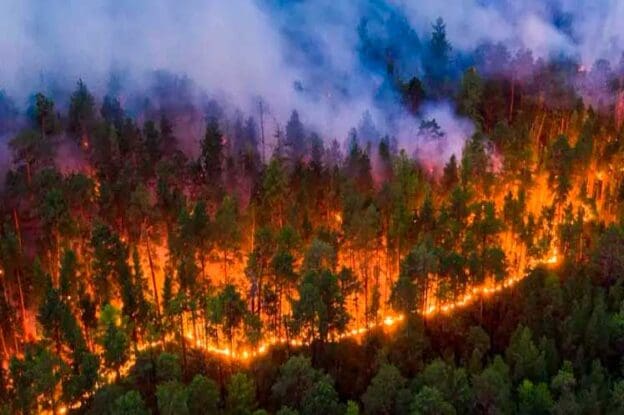 Qual a diferença entre queimadas e incêndios?