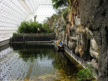 Lago artificial, um dos tipos ecossistemas artificiais.