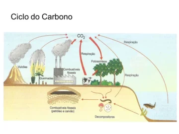 Esquema mostra o ciclo do Carbono e seu movimento no planeta
