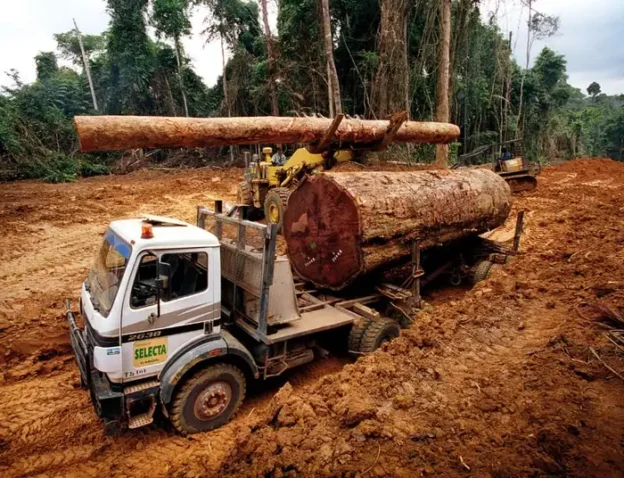 Destruição dos Habitats