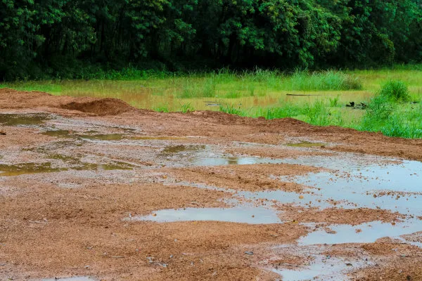 Lixiviação – perda de fertilidade do solo