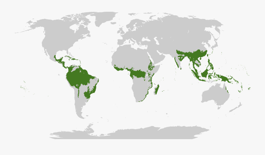 Mapa florestas tropicais