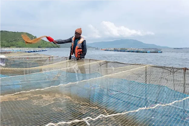 Pesca Sustentável