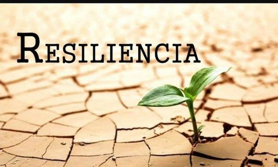 Resiliência Climática